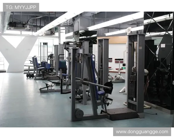 鹰伯尔健身器材:质量与创新的代表 鹰伯尔健身器材:质量与创新的代表