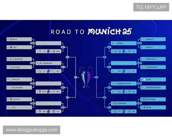 意甲所有球队的主场名称、位置及容量总表