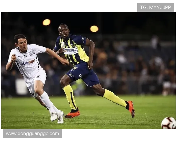 FC世界杯足球赛决赛巅峰荣耀之夜全景纪实与传奇对决时刻回顾 FC世界杯足球赛决赛巅峰荣耀之夜全景纪实与传奇对决时刻回顾