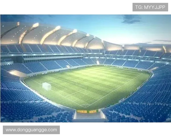 巴西世界杯球场尺寸图解析及各大球场详细数据分析