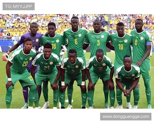 摩洛哥羁押18名塞内加尔球迷库利巴利呼吁立即释放他们